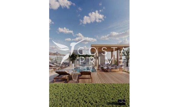 Apartamento / Piso - Obra nueva - Guardamar del Segura -
                Guardamar Del Segura