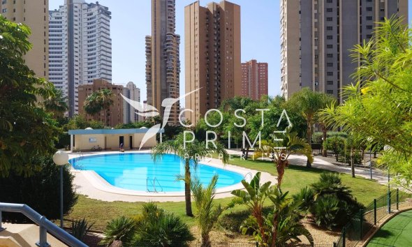 Apartamento / Piso - Reventa -
            Benidorm - C-11371
