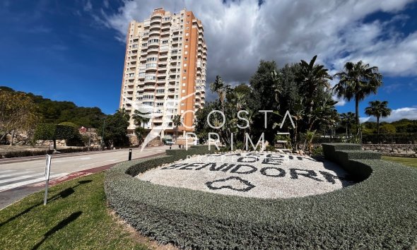 Apartman / lakás - Rövid távú bérlés -
            Benidorm - D-4128