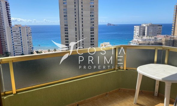 Apartman / lakás - Újraértékesítés -
            Benidorm - D-4184