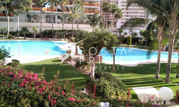 Apartman / lakás - Újraértékesítés - Benidorm - Rincón de Loix