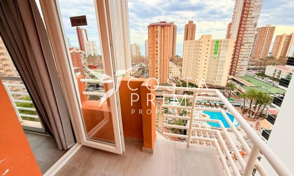 Apartment / Flat - Resale - Benidorm -
                Levante