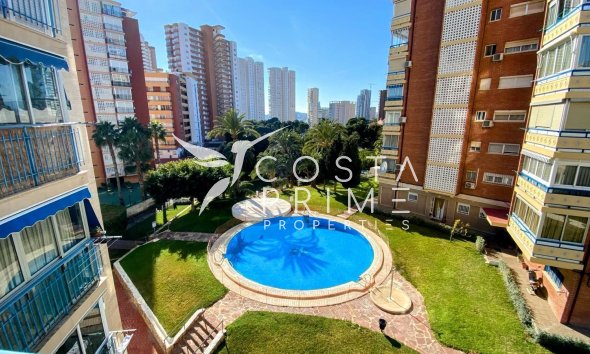 Apartment / Flat - Short term rental - Benidorm -
                Poniente