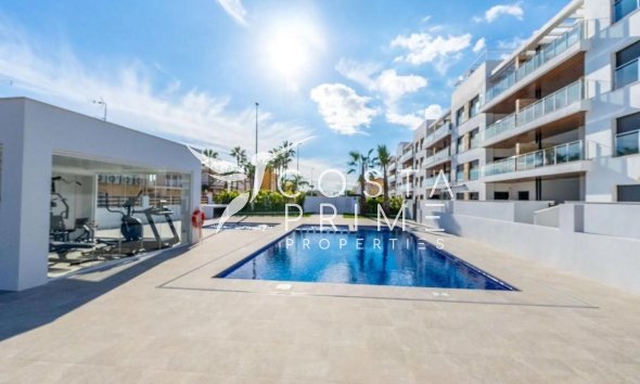 Ático - Obra nueva - Torrevieja - Torrevieja