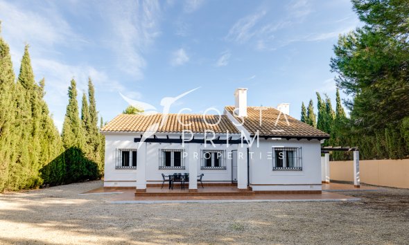 Chalet / Villa - Obra nueva - Fuente Álamo - Fuente Alamo