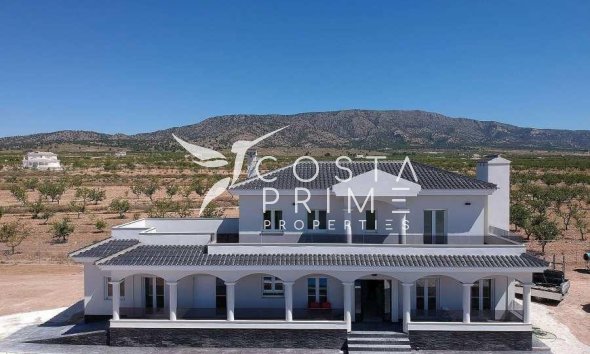 Chalet / Villa - Obra nueva - Pinoso - Camino Del Prado