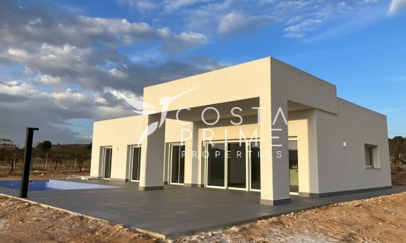 Chalet / Villa - Obra nueva -
            Pinoso - NB-83510