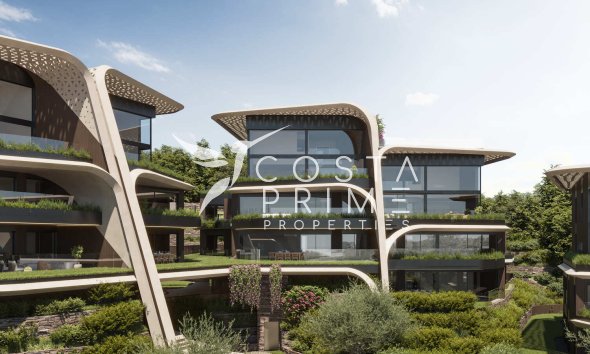 Daszek - Nowy budynek -
            San Roque - NB-25976