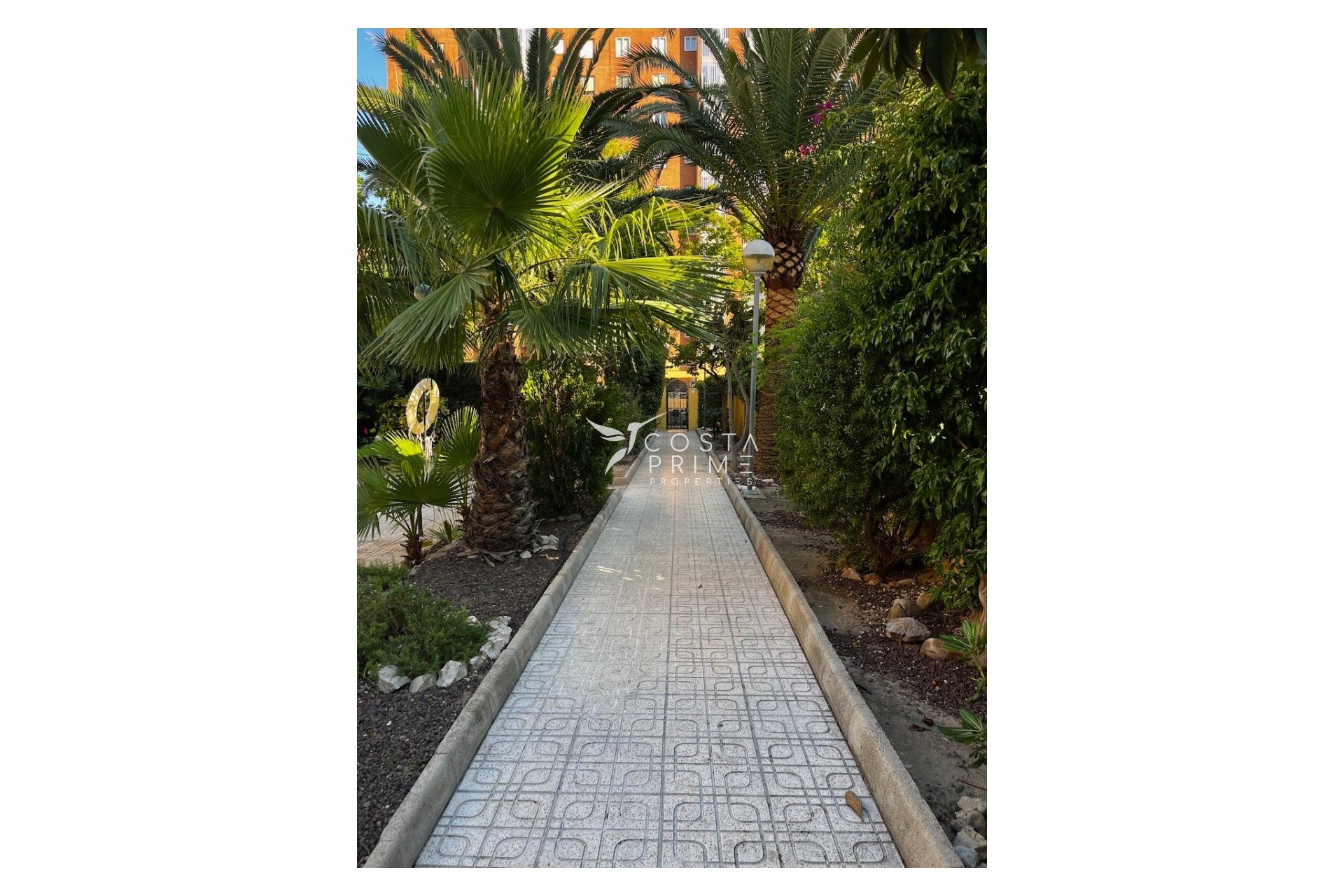 Long term rental - Apartment / Flat - Benidorm