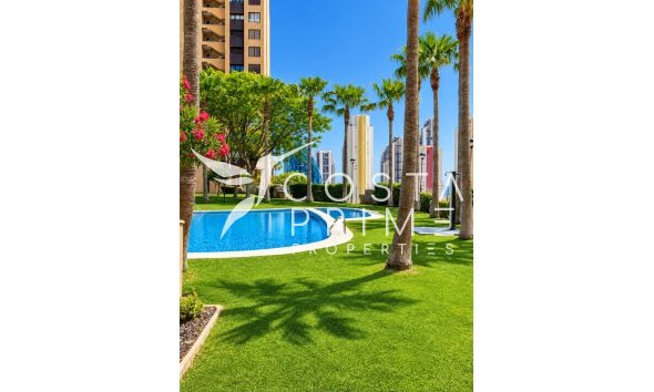 Mieszkanie w Bloku - Odsprzedaż - Benidorm - Playa de Poniente