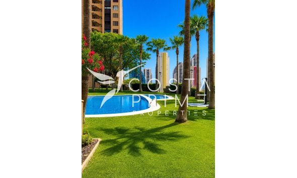 Mieszkanie w Bloku - Odsprzedaż - Benidorm - Poniente