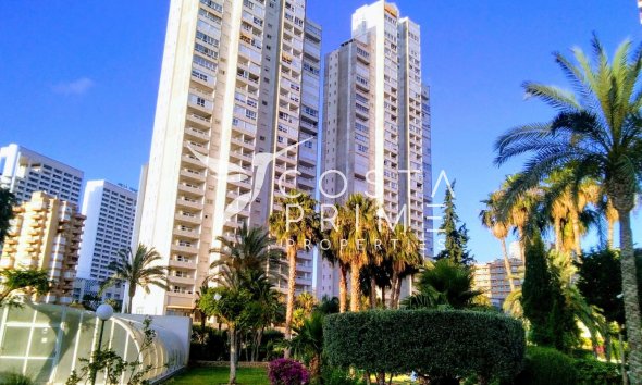 Mieszkanie w Bloku - Odsprzedaż - Benidorm - Rincón de Loix