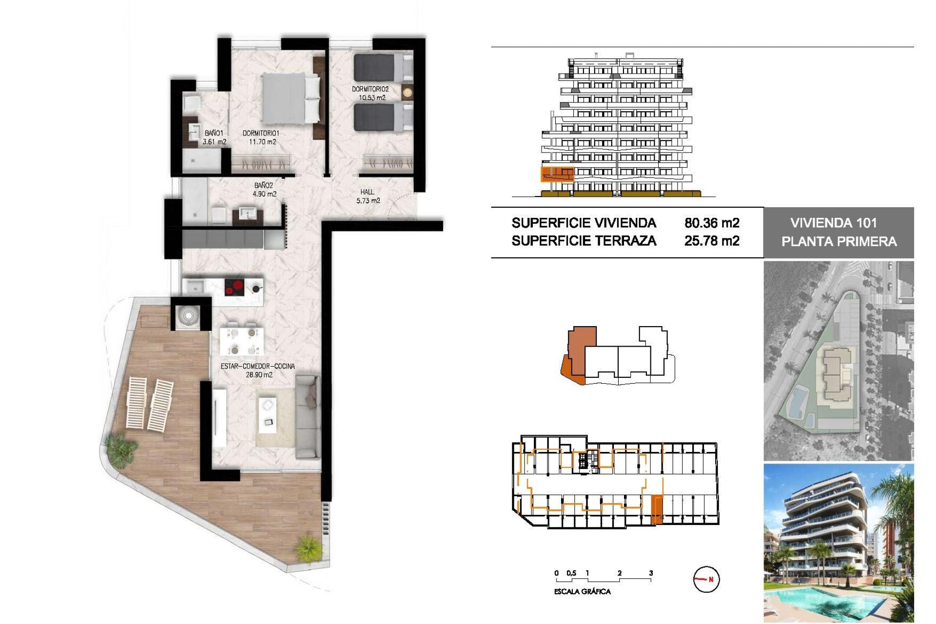 New build - Apartment / Flat - Guardamar del Segura