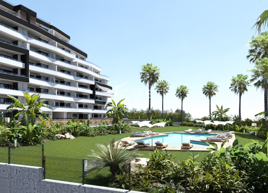 New build - Apartment / Flat - San Miguel de Salinas