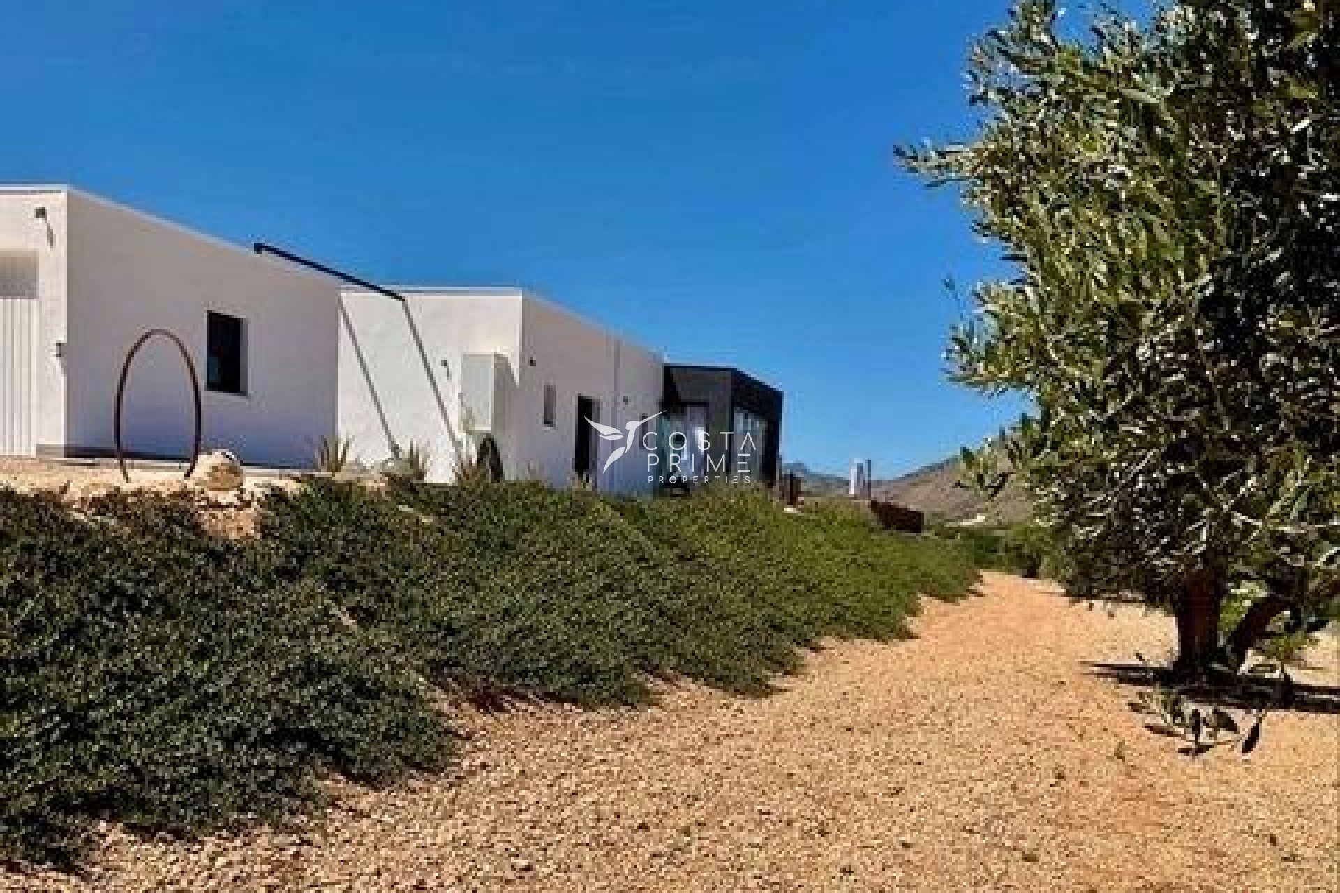 New build - Villa  - Jumilla