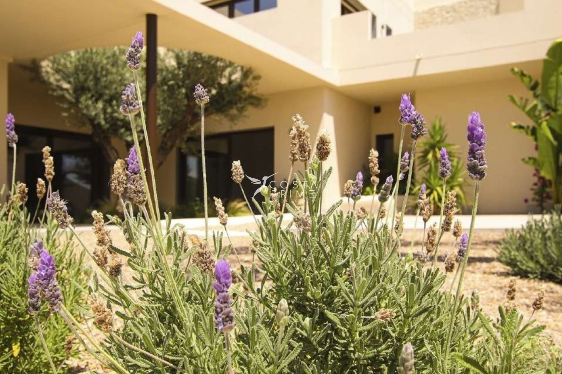 New build - Villa  - La Marina