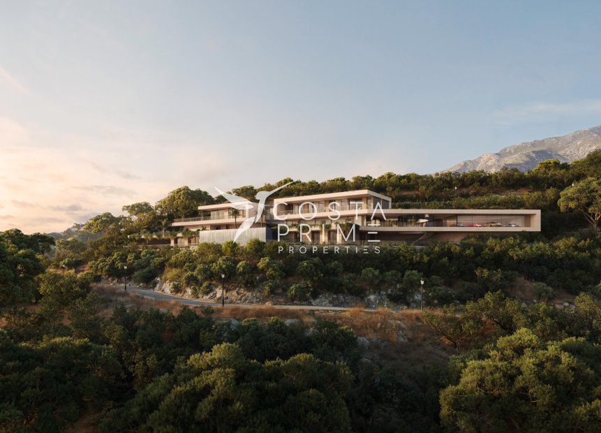 New build - Villa  - Montemayor