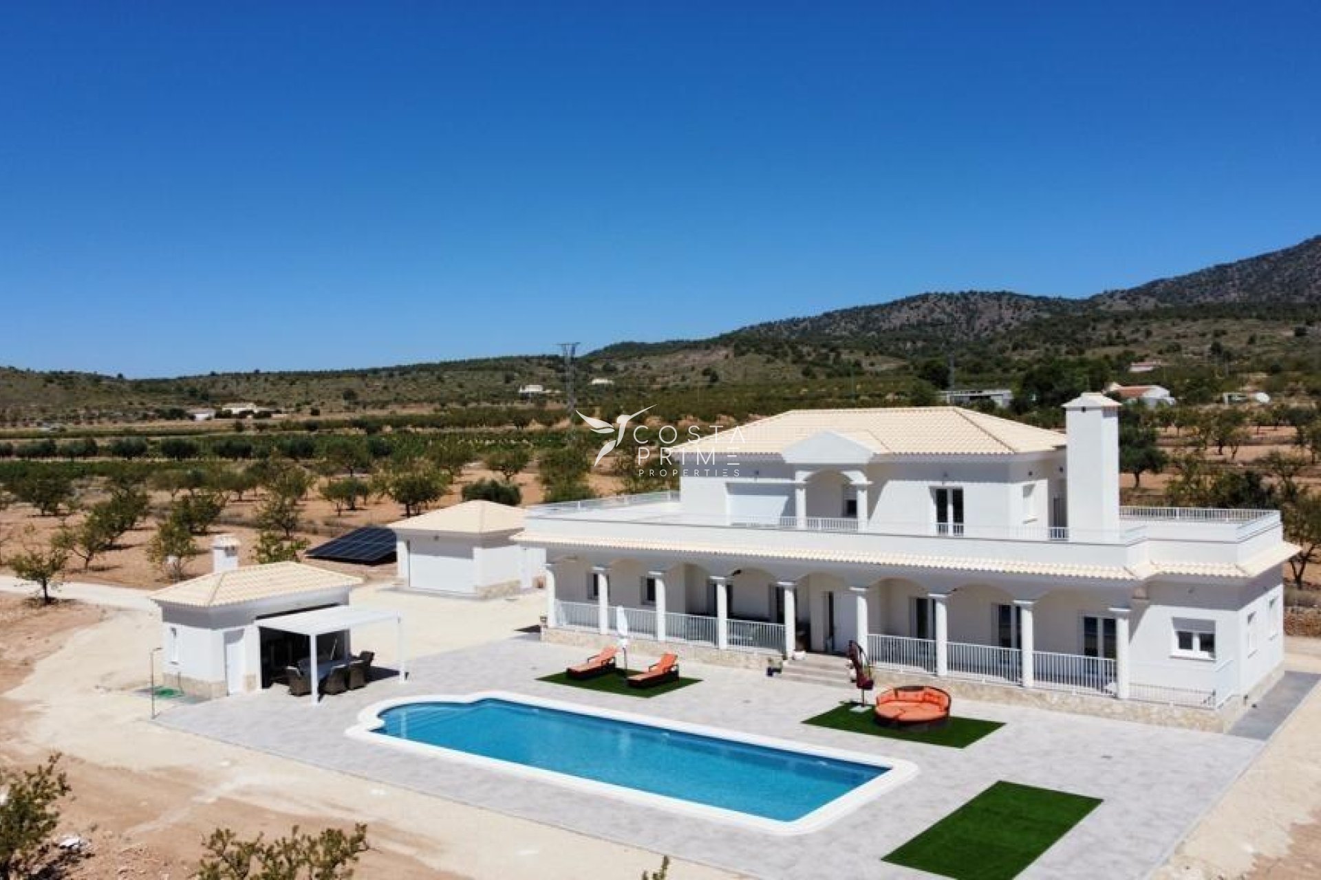 New build - Villa  - Pinoso