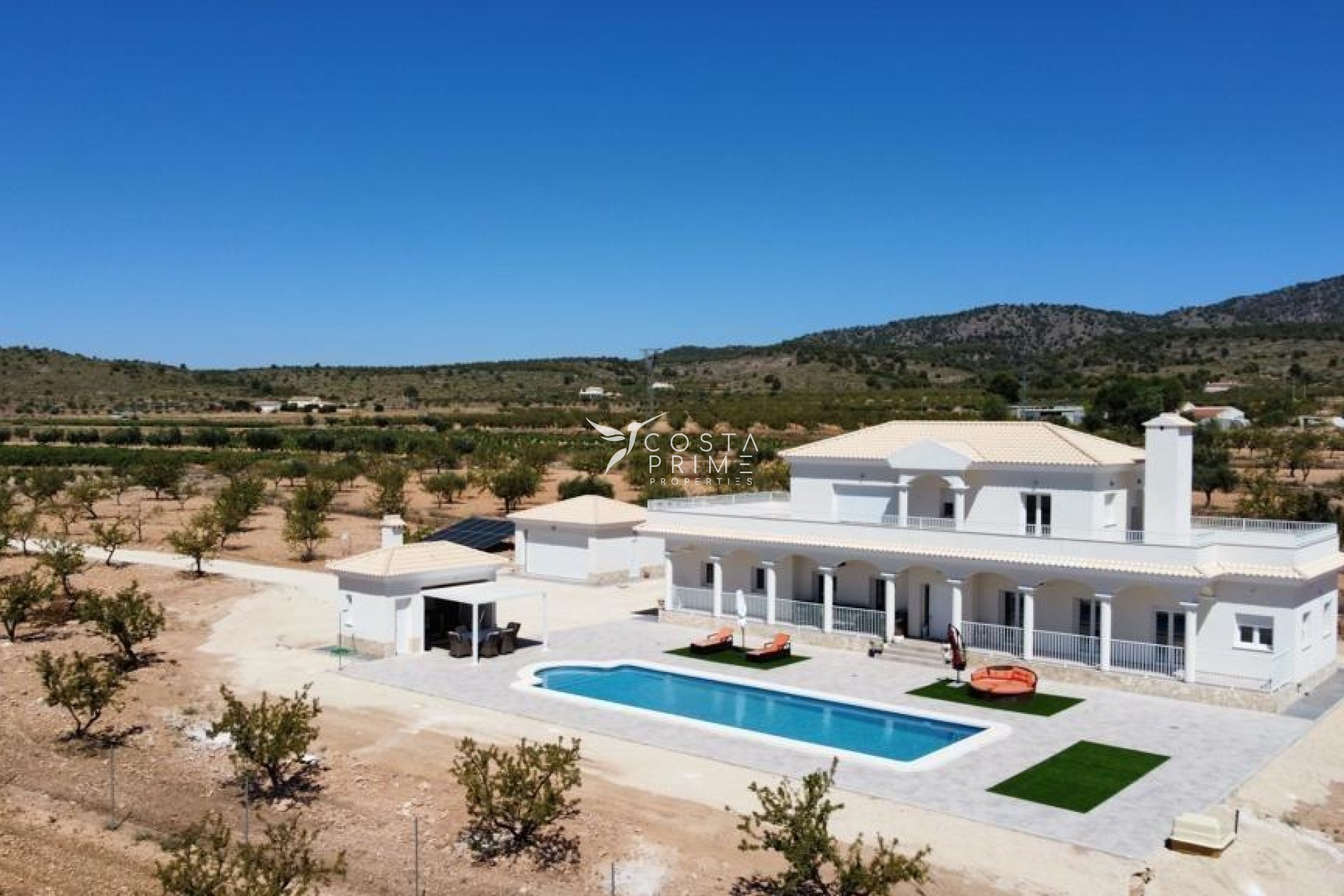 New build - Villa  - Pinoso