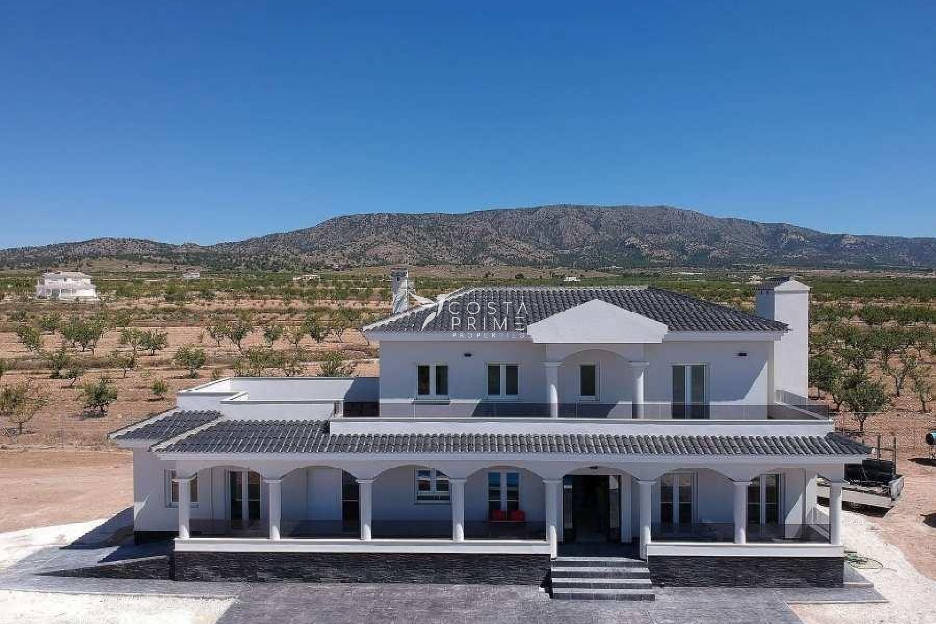 New build - Villa  - Pinoso