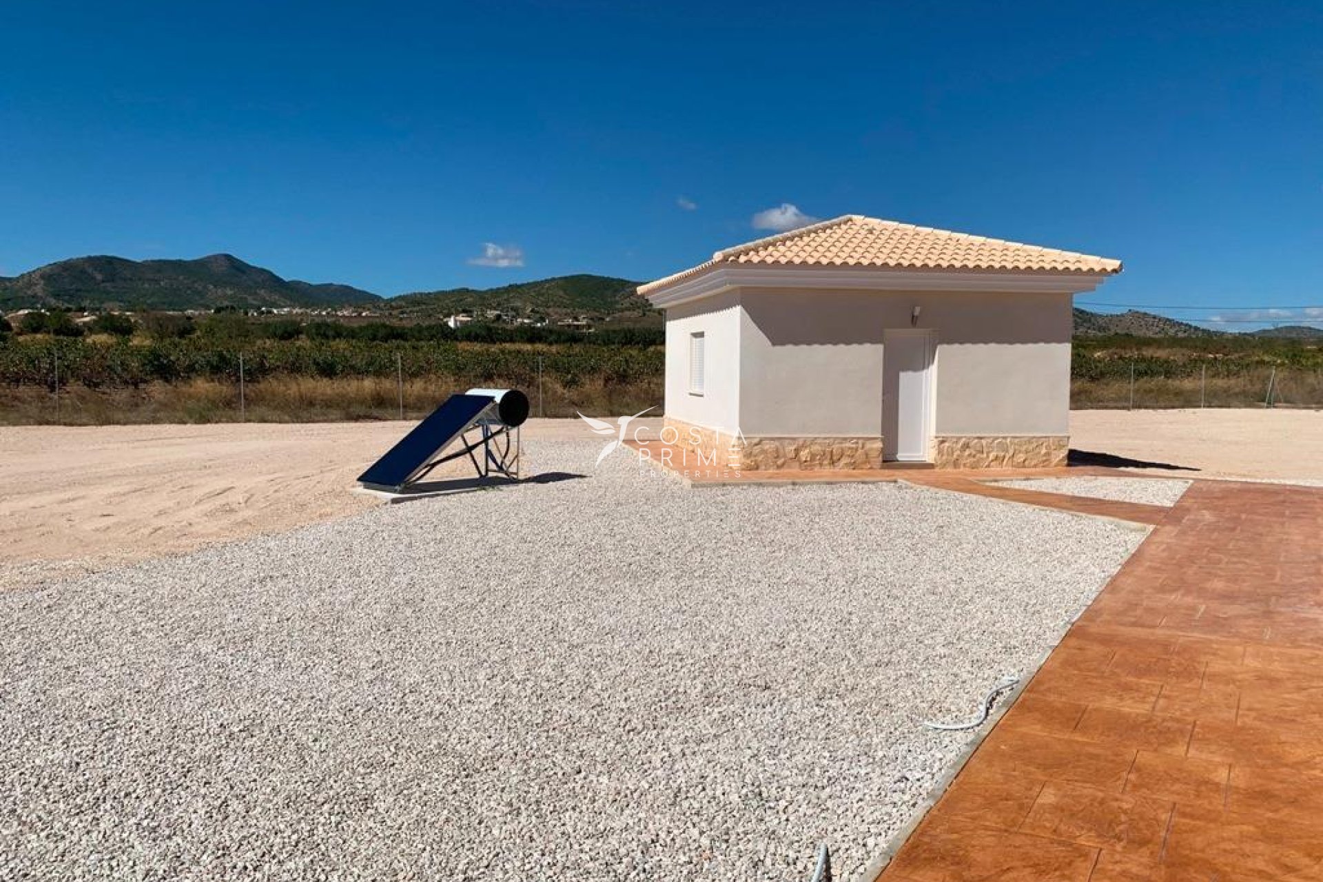 New build - Villa  - Pinoso