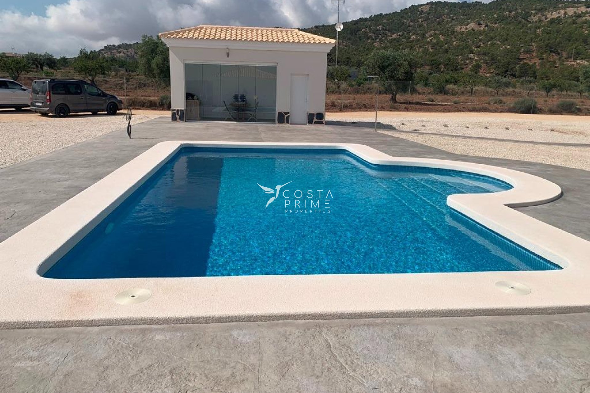 New build - Villa  - Pinoso