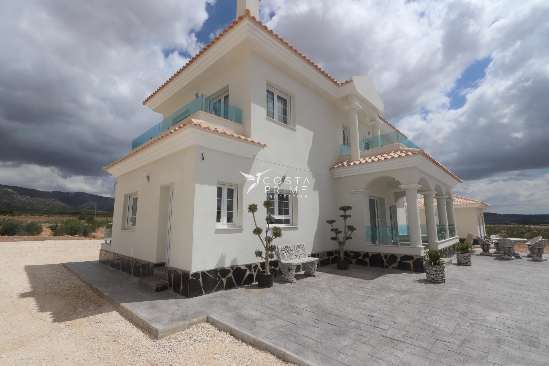 New build - Villa  - Pinoso