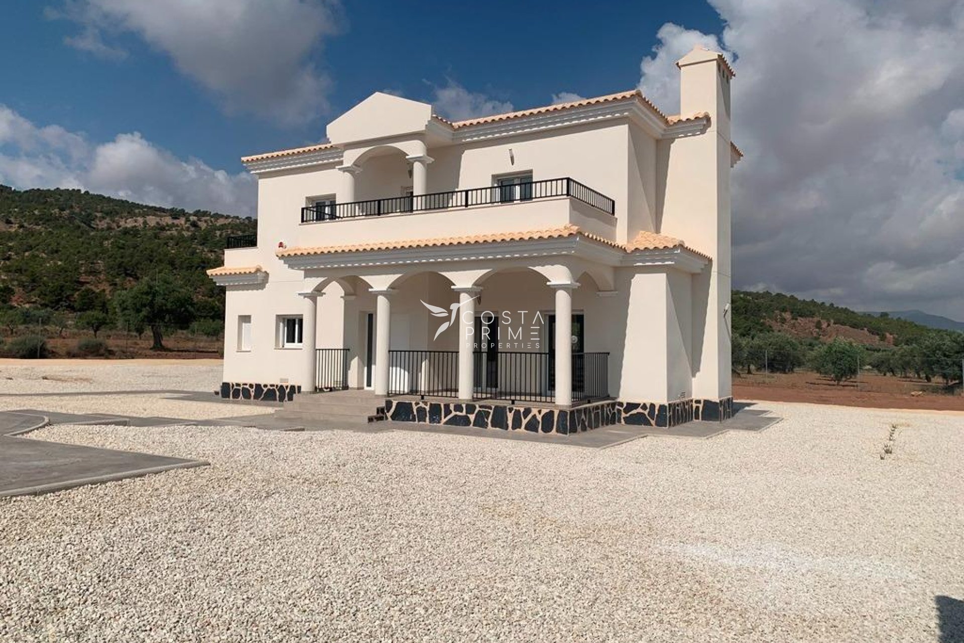 New build - Villa  - Pinoso