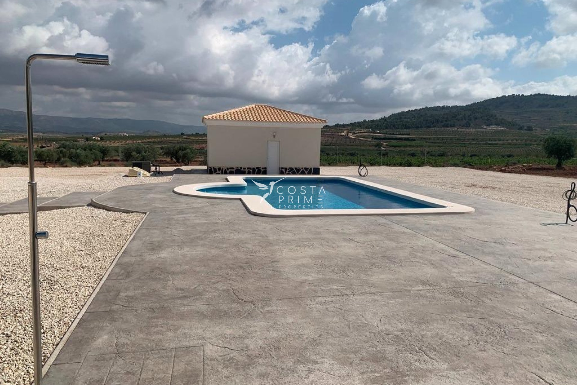 New build - Villa  - Pinoso