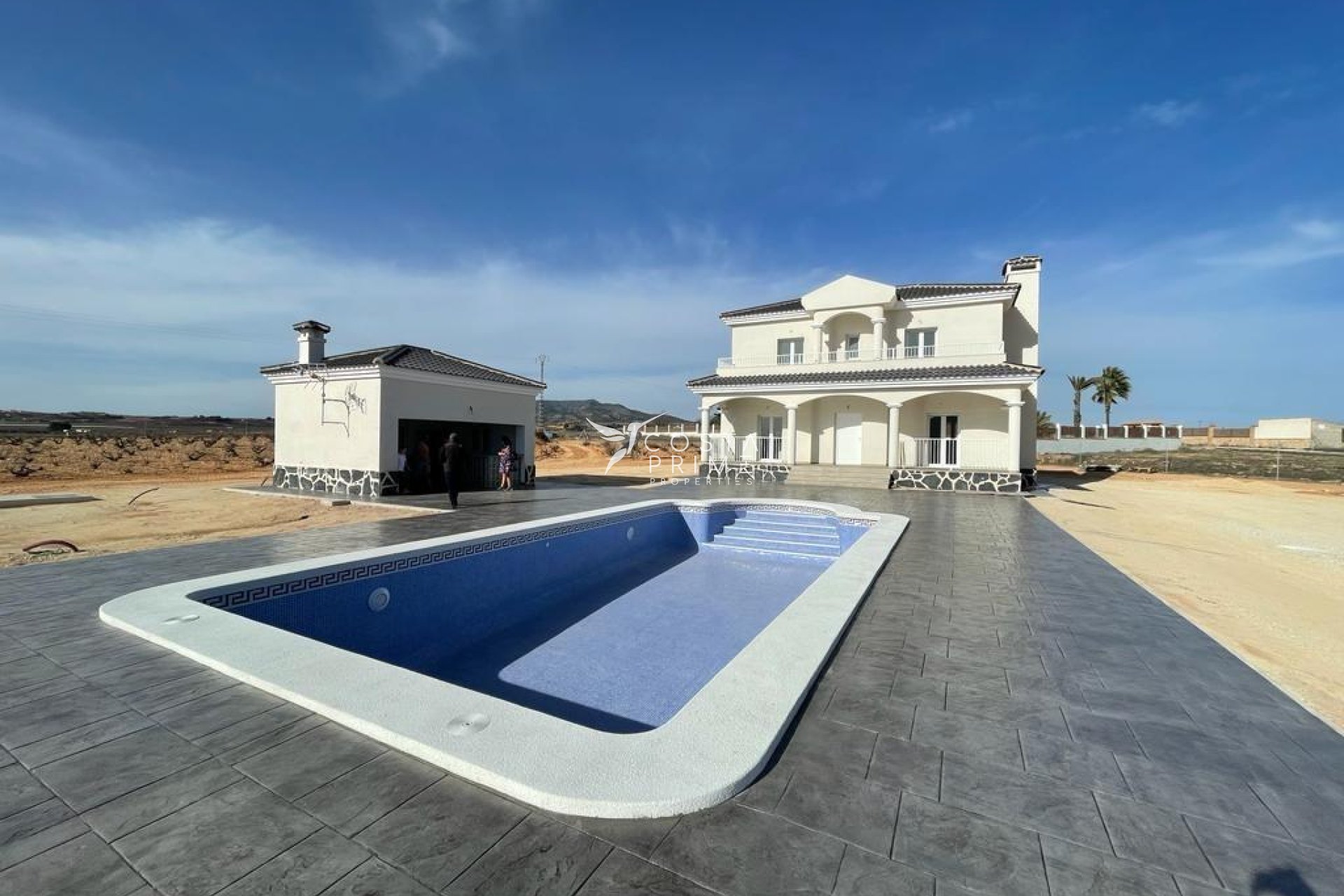 New build - Villa  - Pinoso