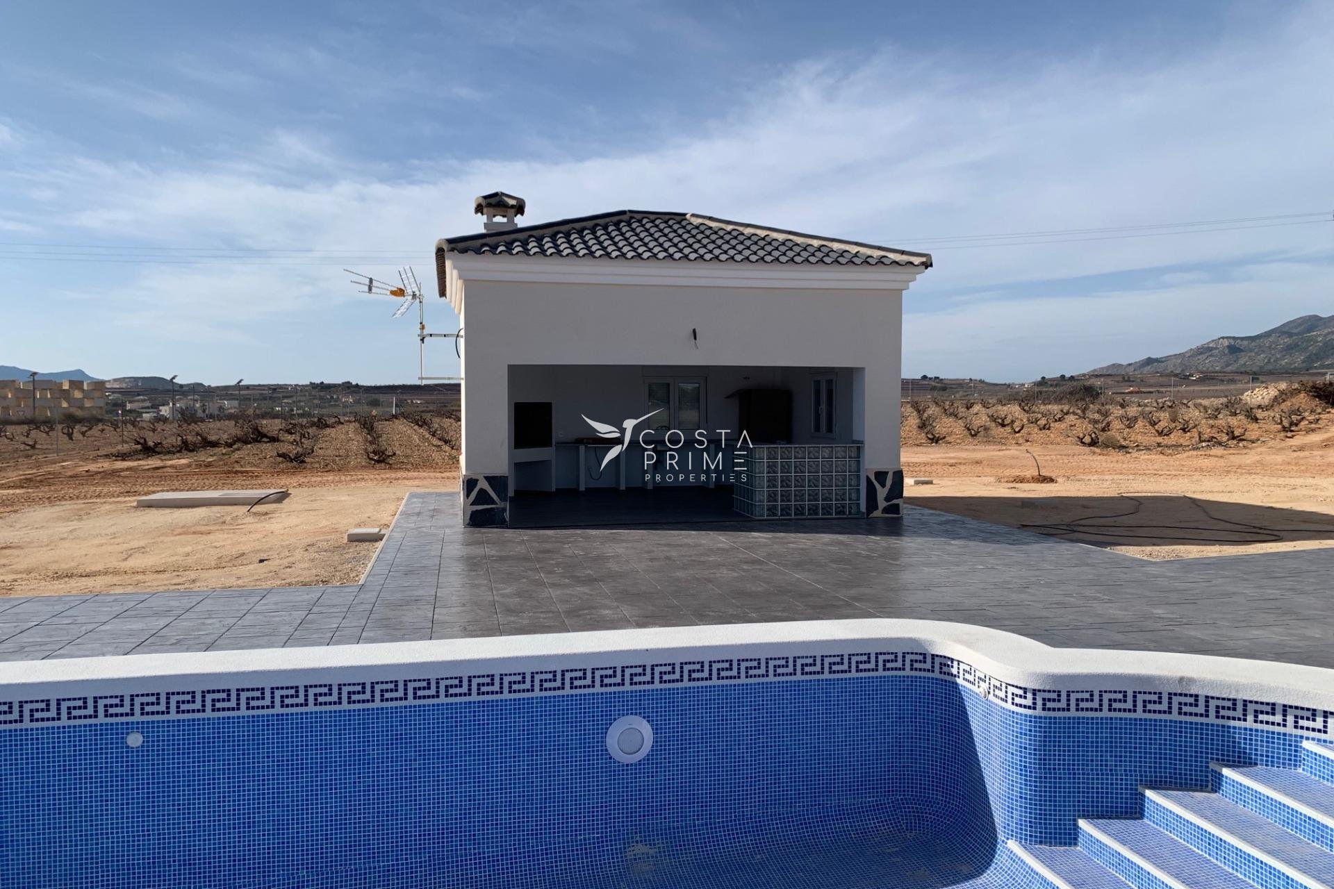 New build - Villa  - Pinoso