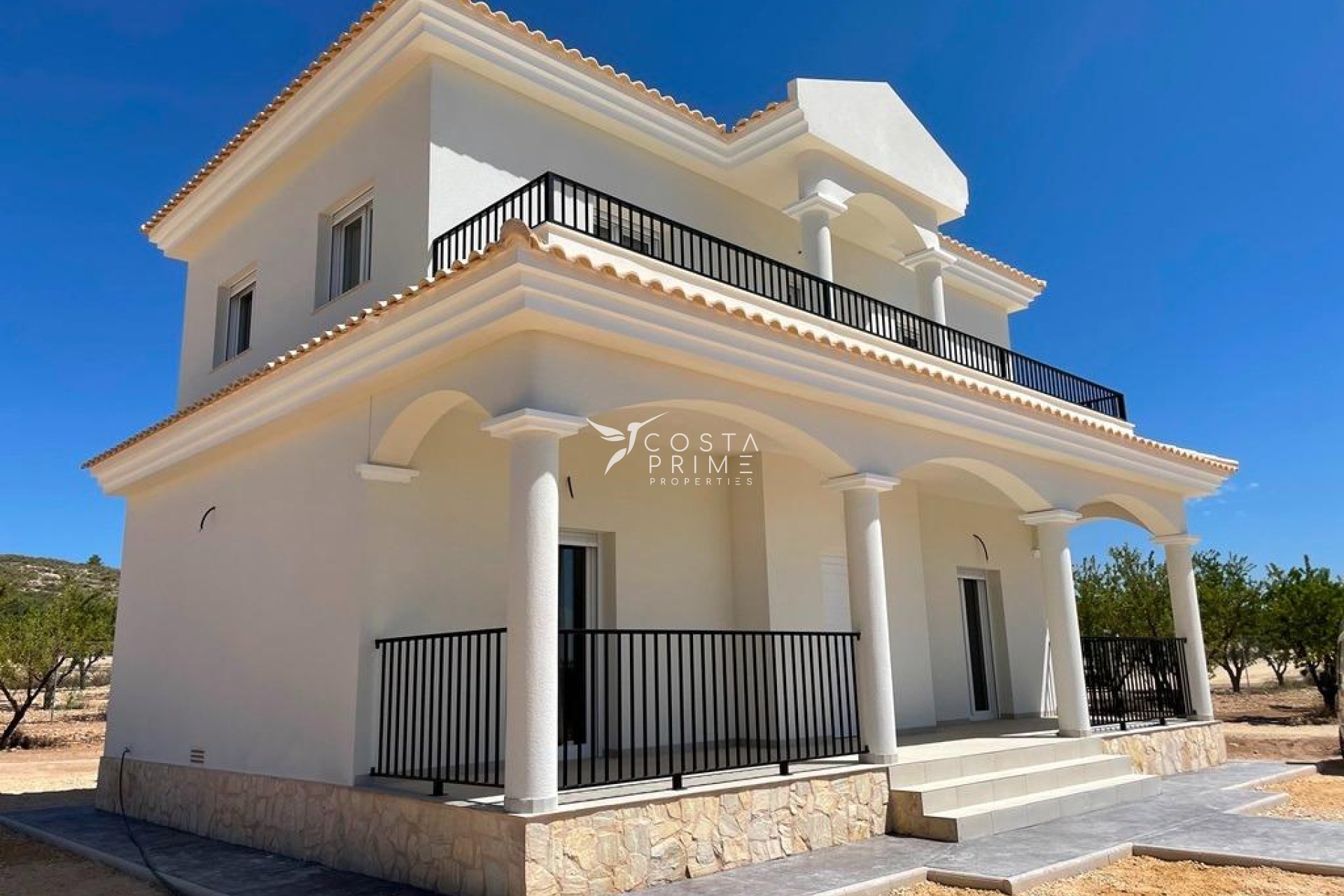 New build - Villa  - Pinoso