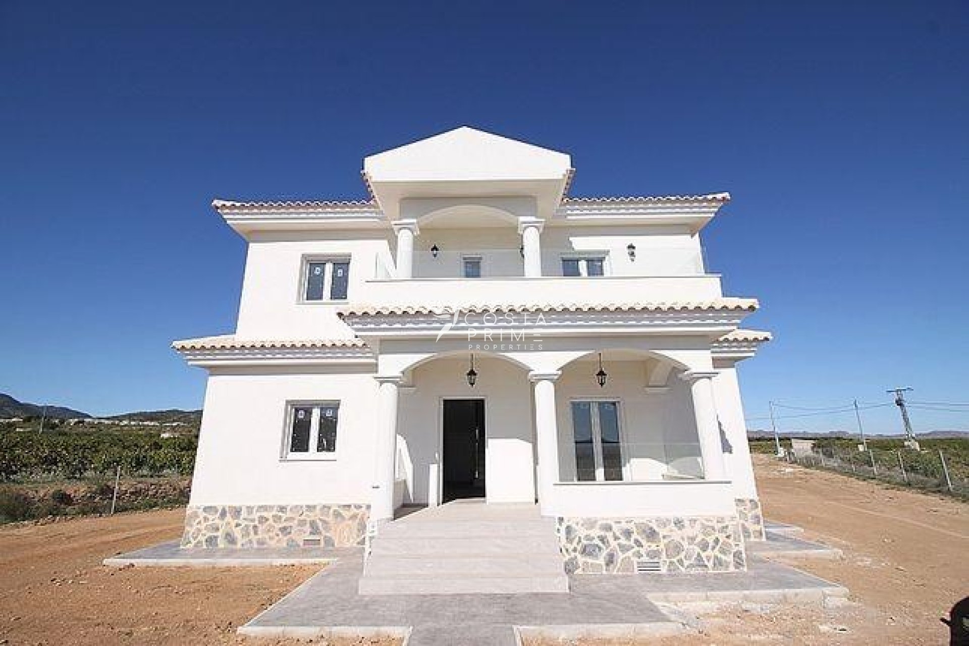 New build - Villa  - Pinoso