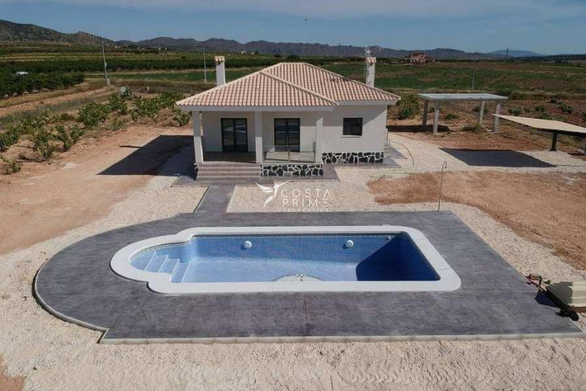 New build - Villa  - Pinoso