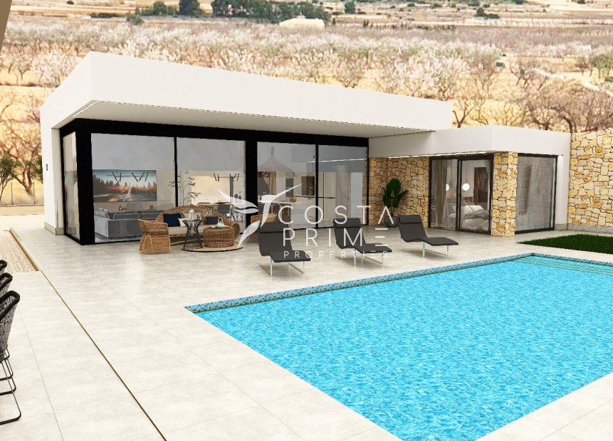 New build - Villa  - Pinoso