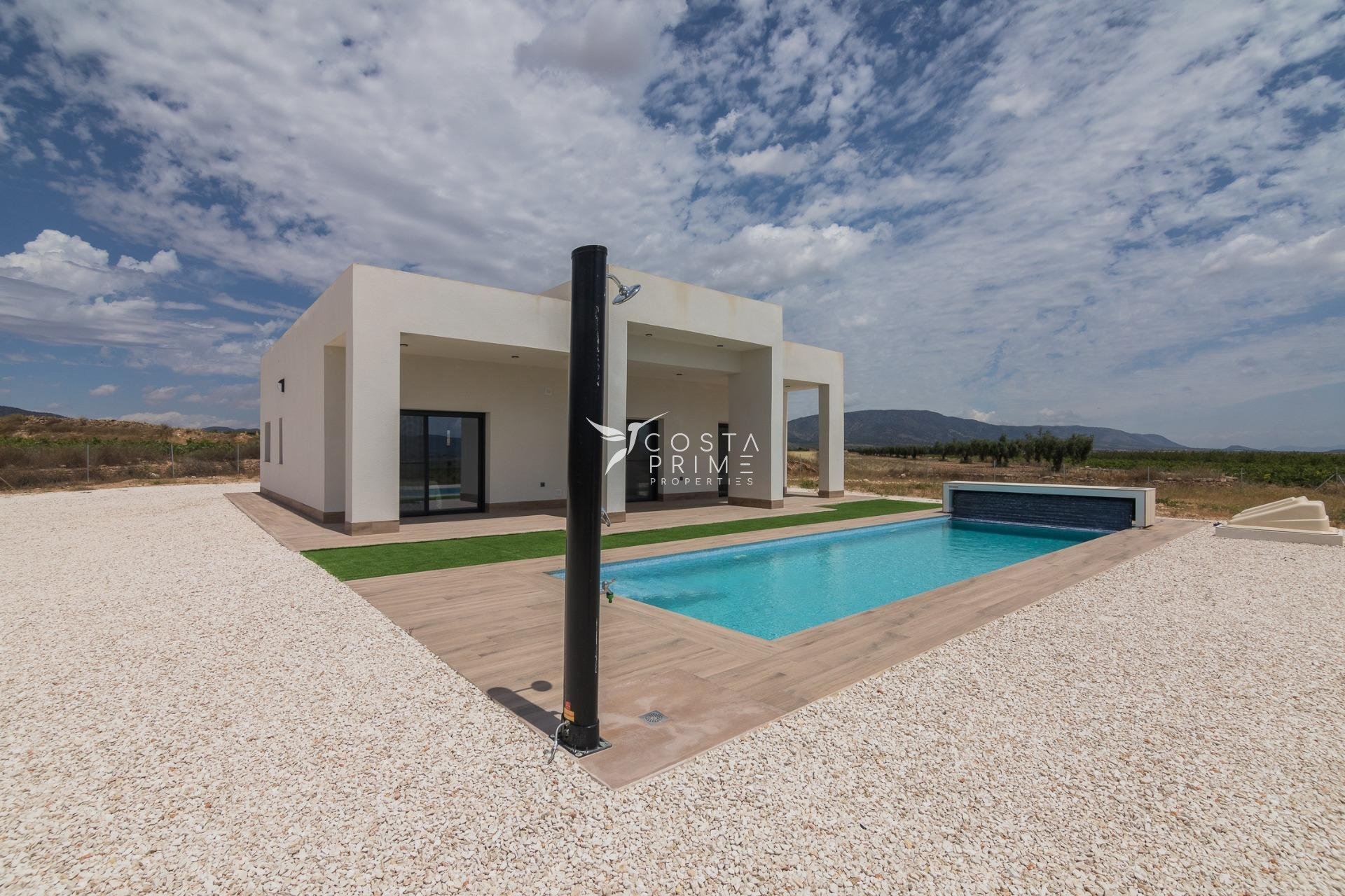 New build - Villa  - Pinoso