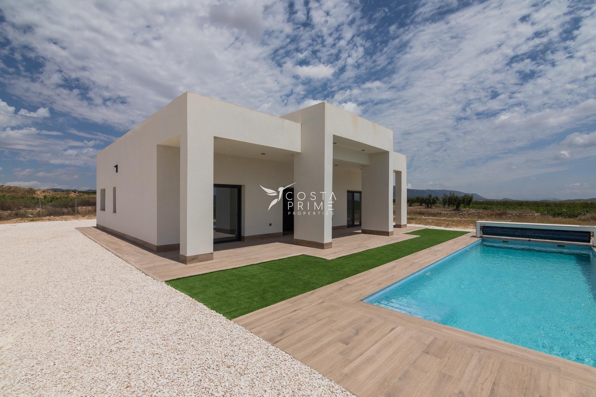 New build - Villa  - Pinoso