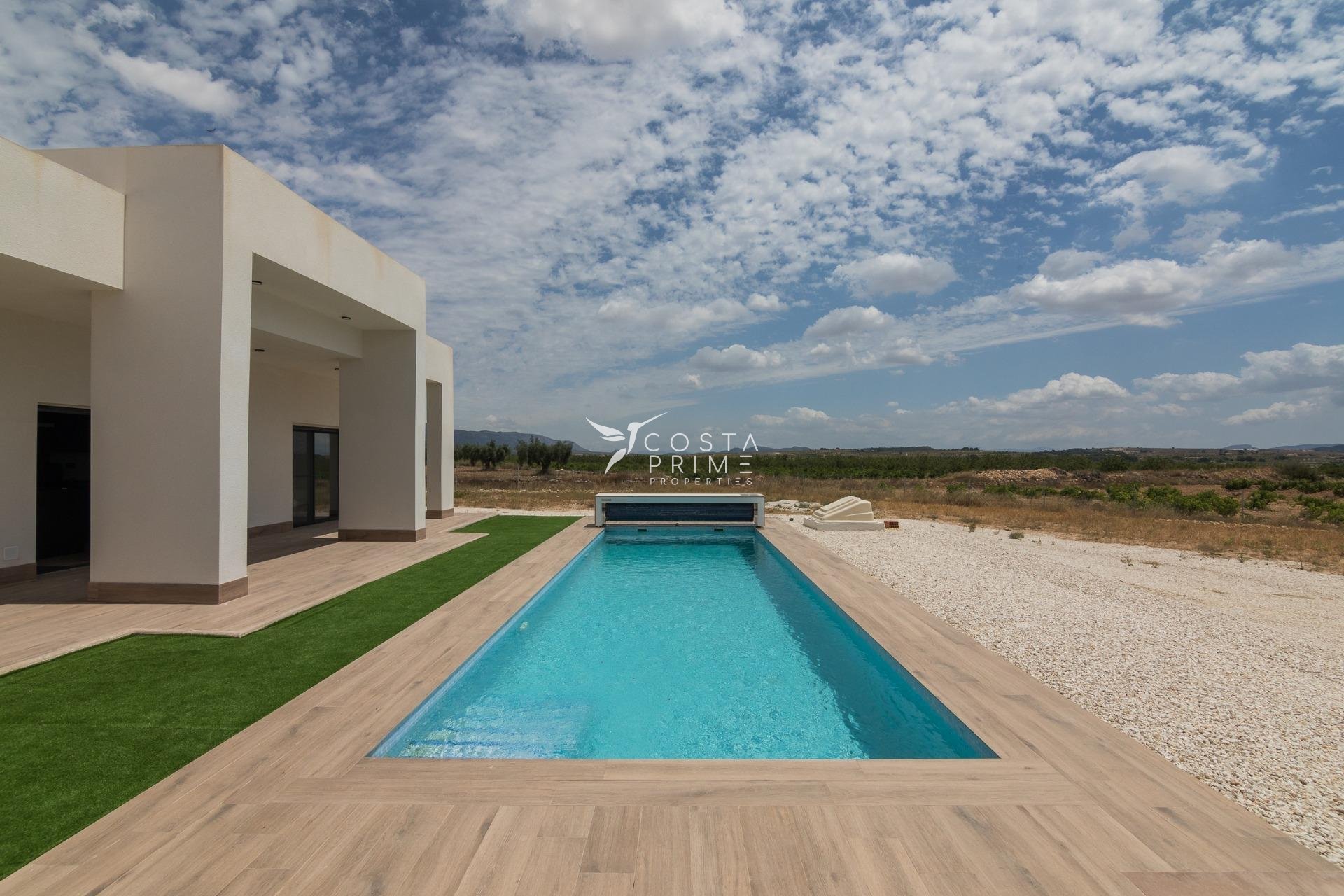 New build - Villa  - Pinoso