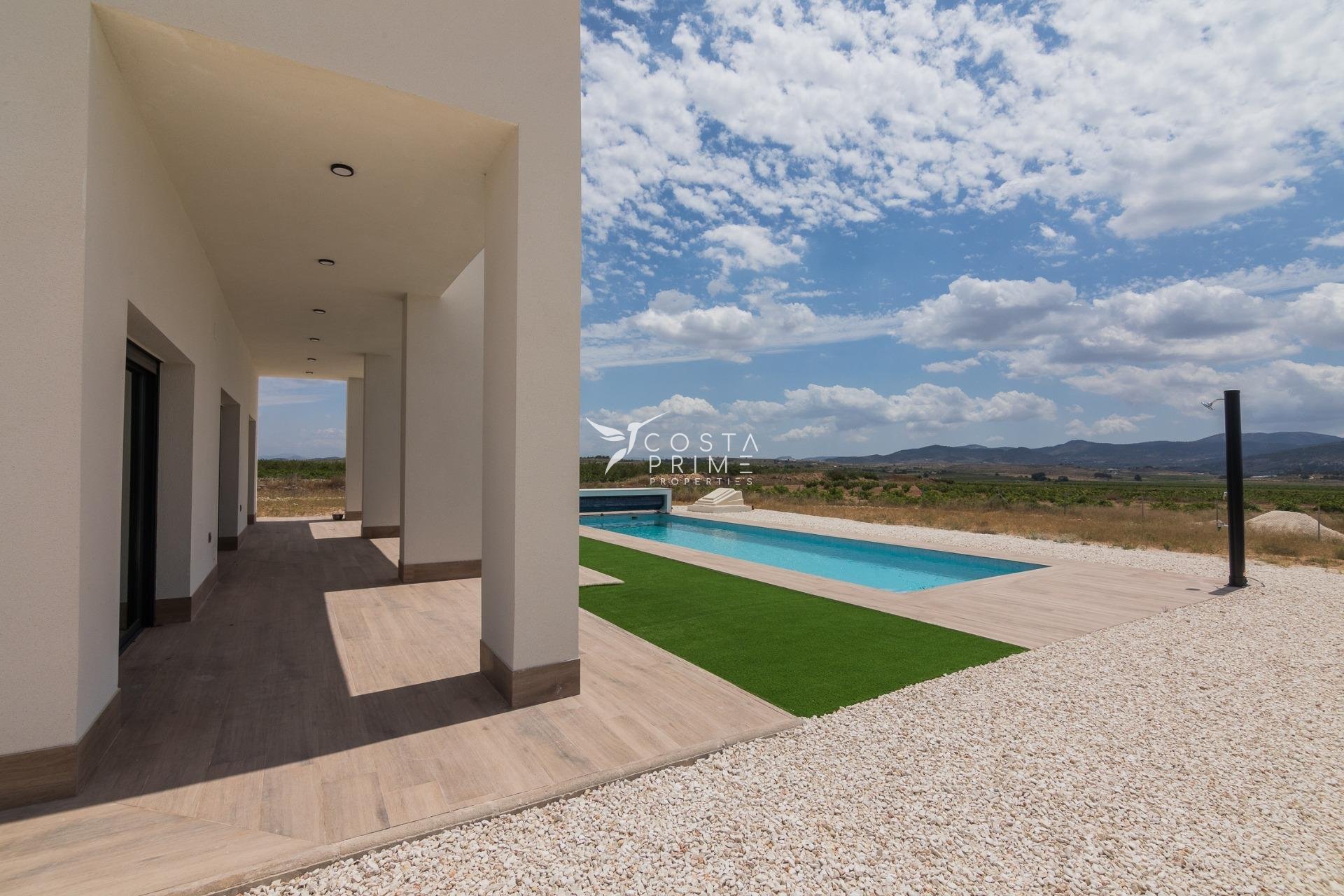 New build - Villa  - Pinoso