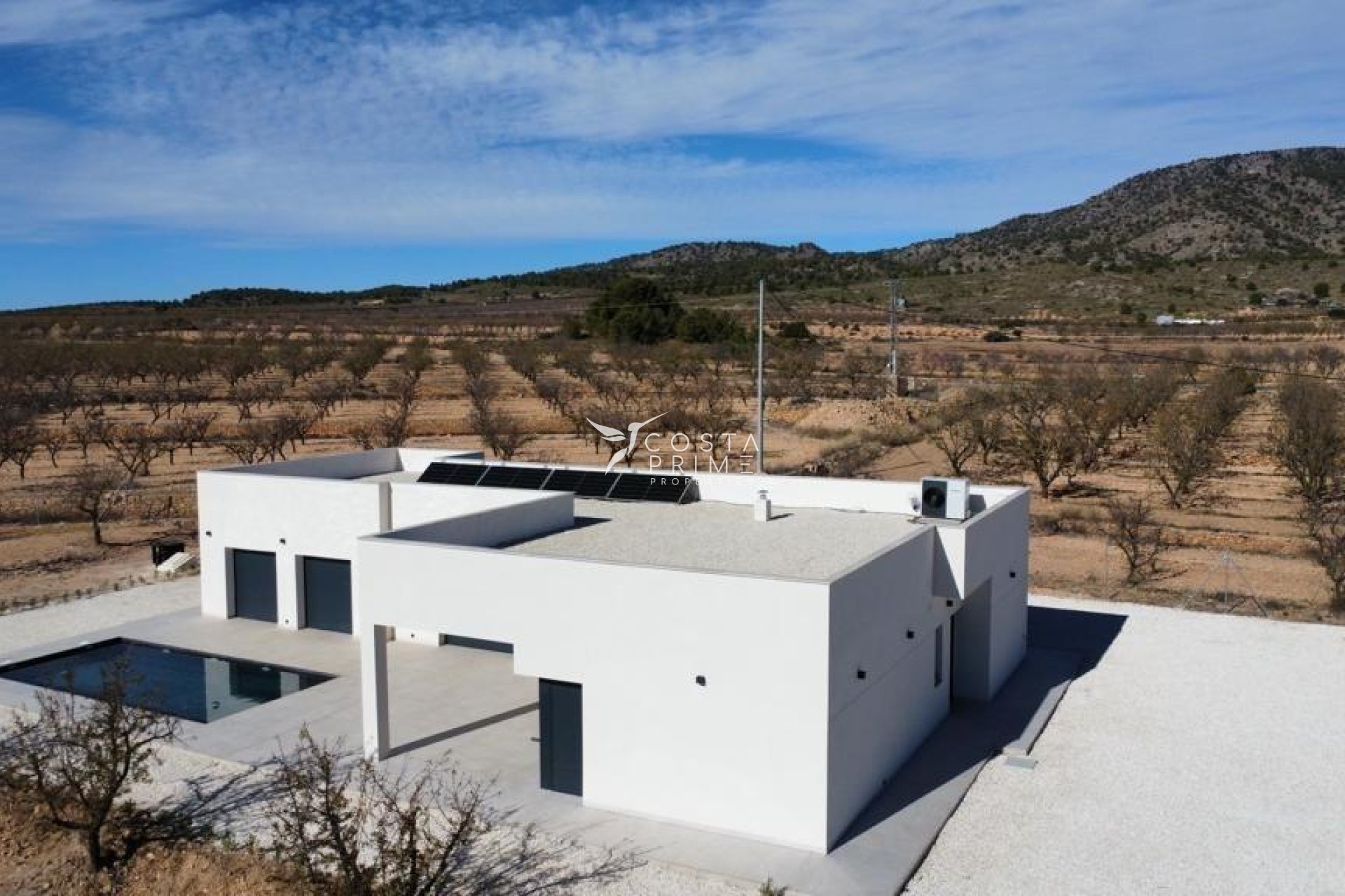 New build - Villa  - Pinoso