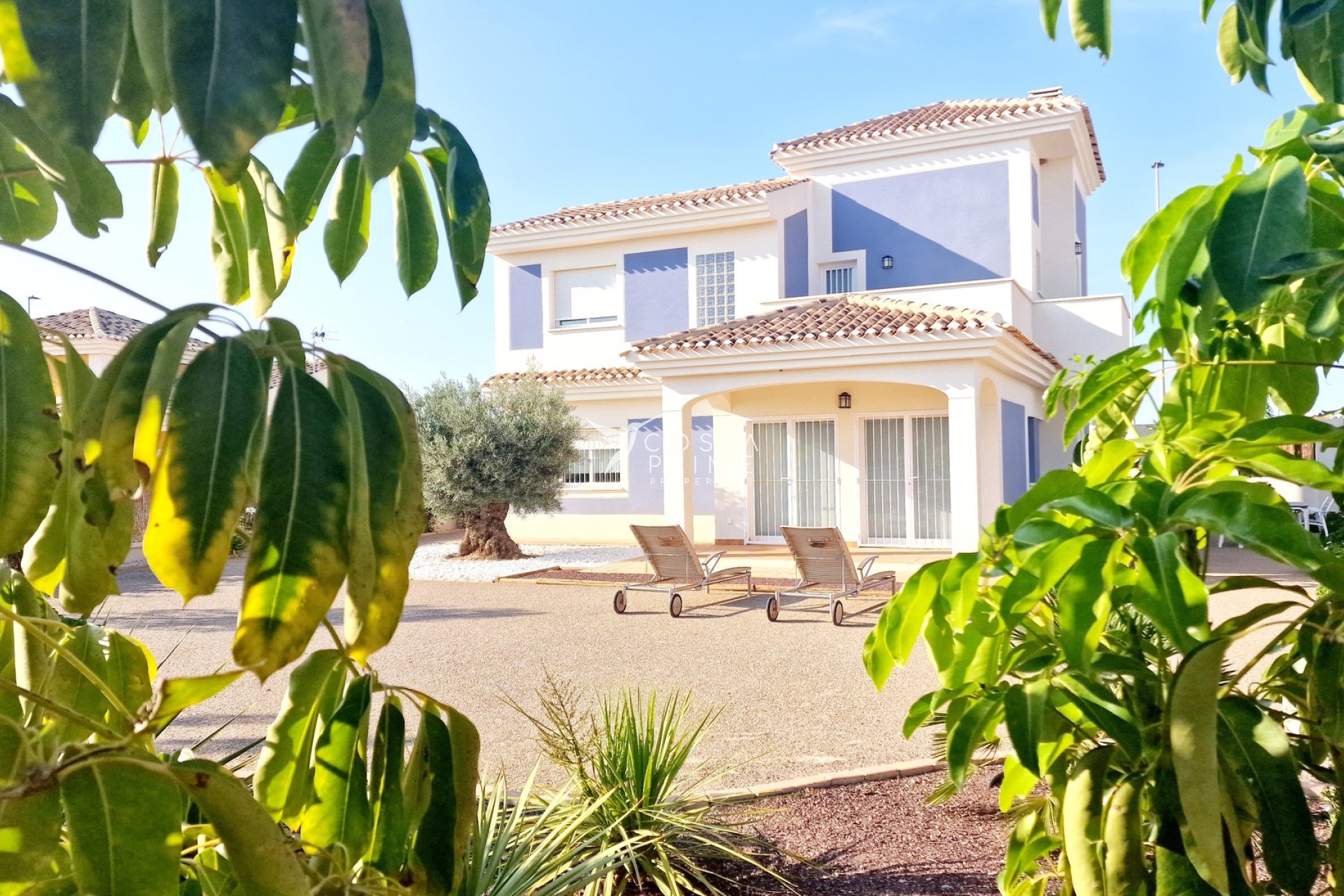 New build - Villa  - Purias