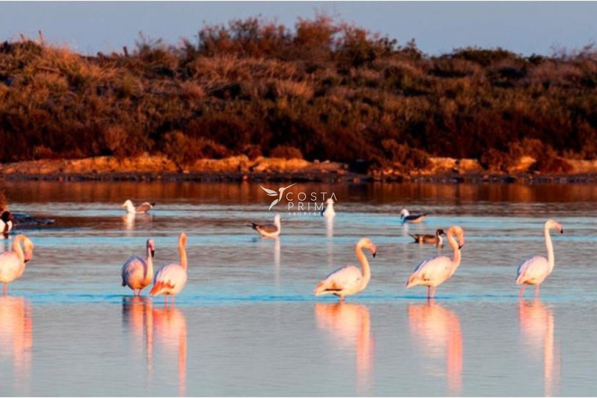 New build - Villa  - San Pedro del Pinatar