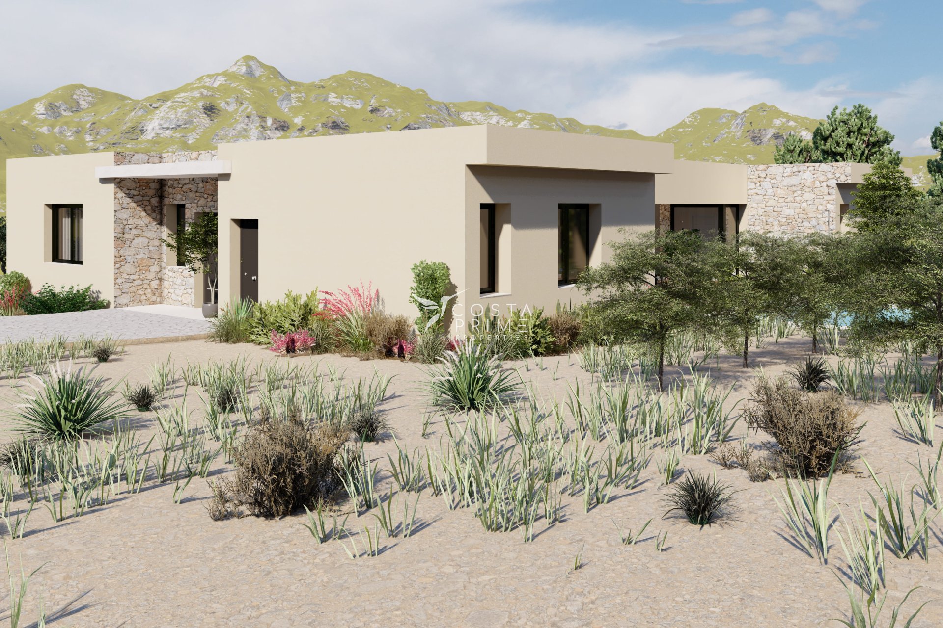 New build - Villa  - Yecla