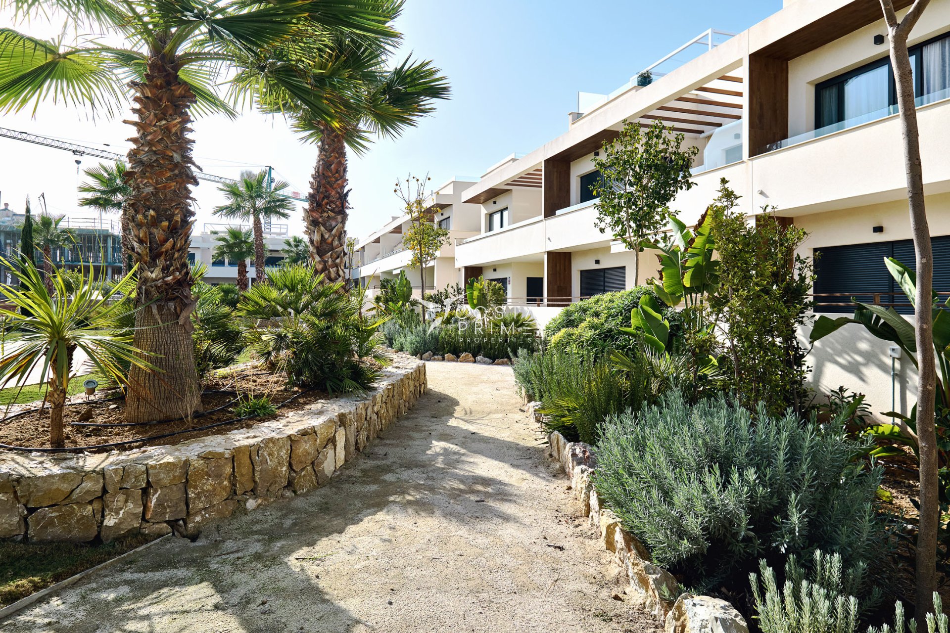 Nowy budynek - Kamienica / bliźniak - Torrevieja