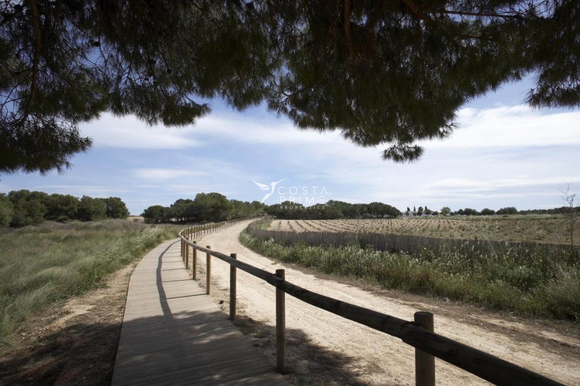 Nowy budynek - Kamienica / bliźniak - Torrevieja