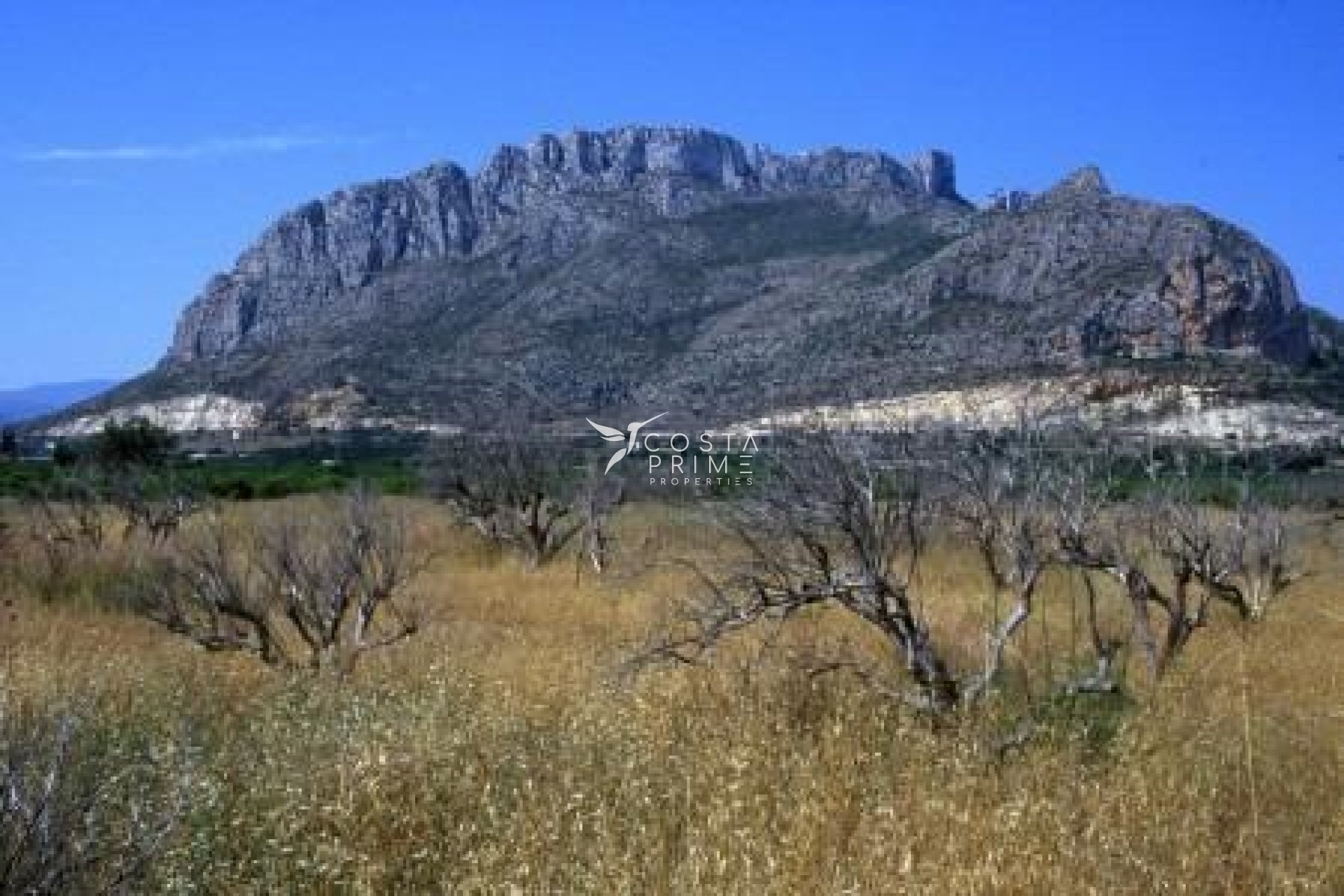 Nowy budynek - Mieszkanie w Bloku - Denia