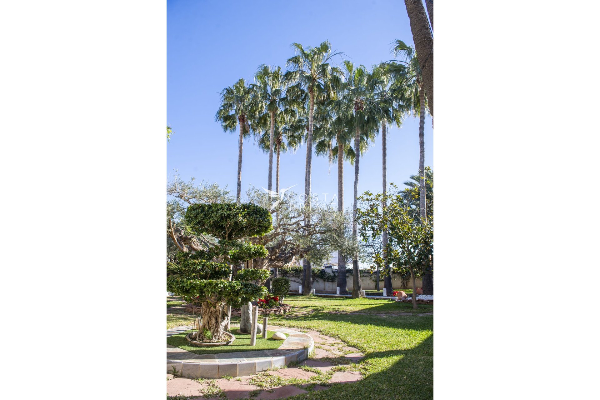 Nowy budynek - Szalet - San Pedro del Pinatar