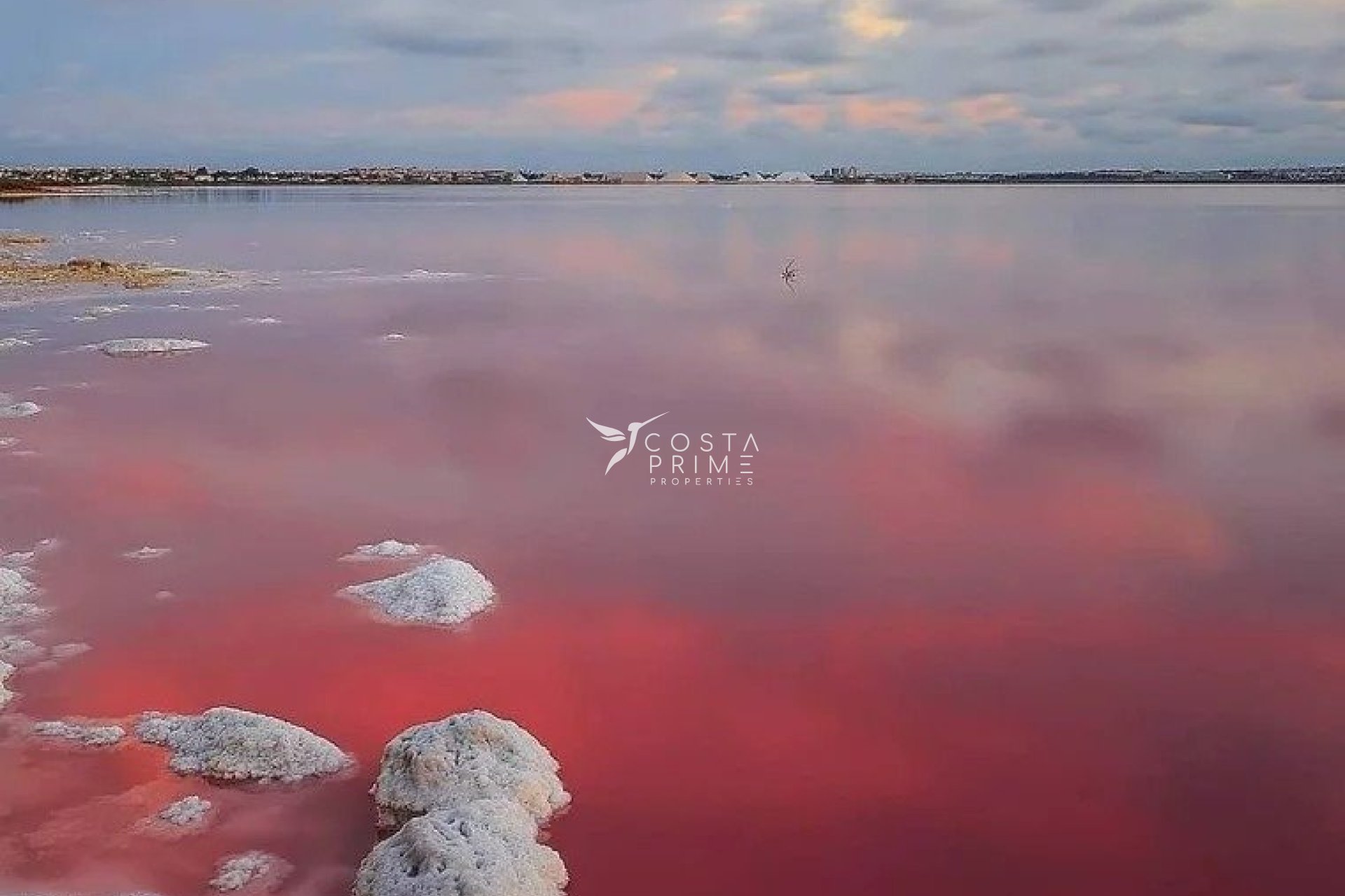 Nowy budynek - Szalet - Torrevieja