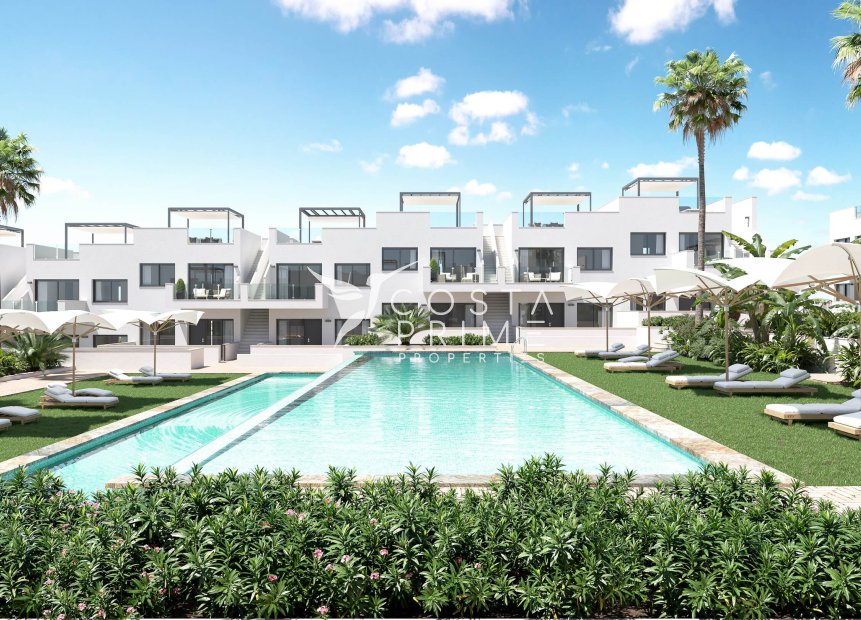 Obra nueva - Adosado / Pareado - Torrevieja