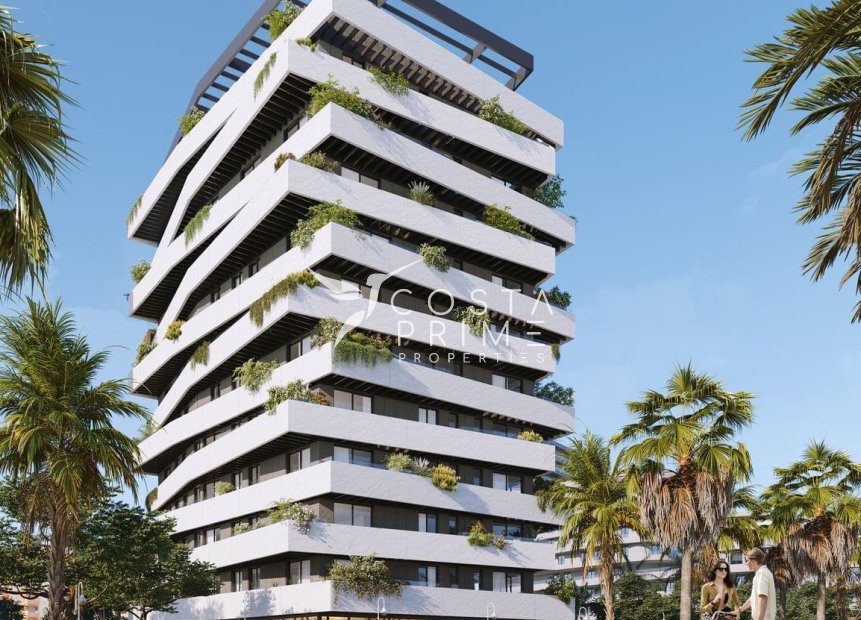 Obra nueva - Apartamento / Piso - Málaga